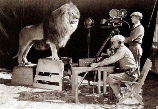 Filming the MGM Lion